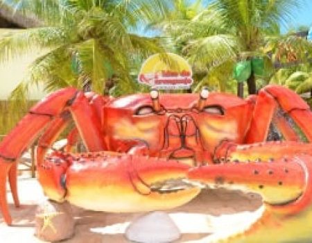 city-tour-fortaleza (8)