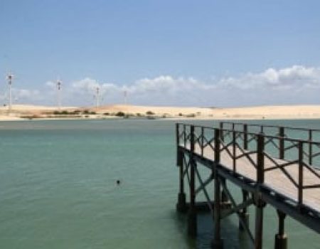 mundau-flexeiras (5)