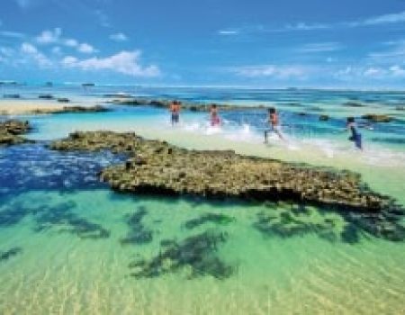 mundau-flexeiras (6)